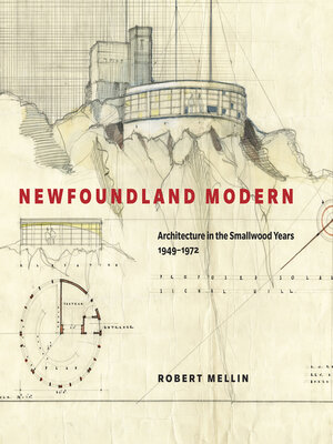 cover image of Newfoundland Modern